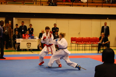 karate_fin._open_3.jpg